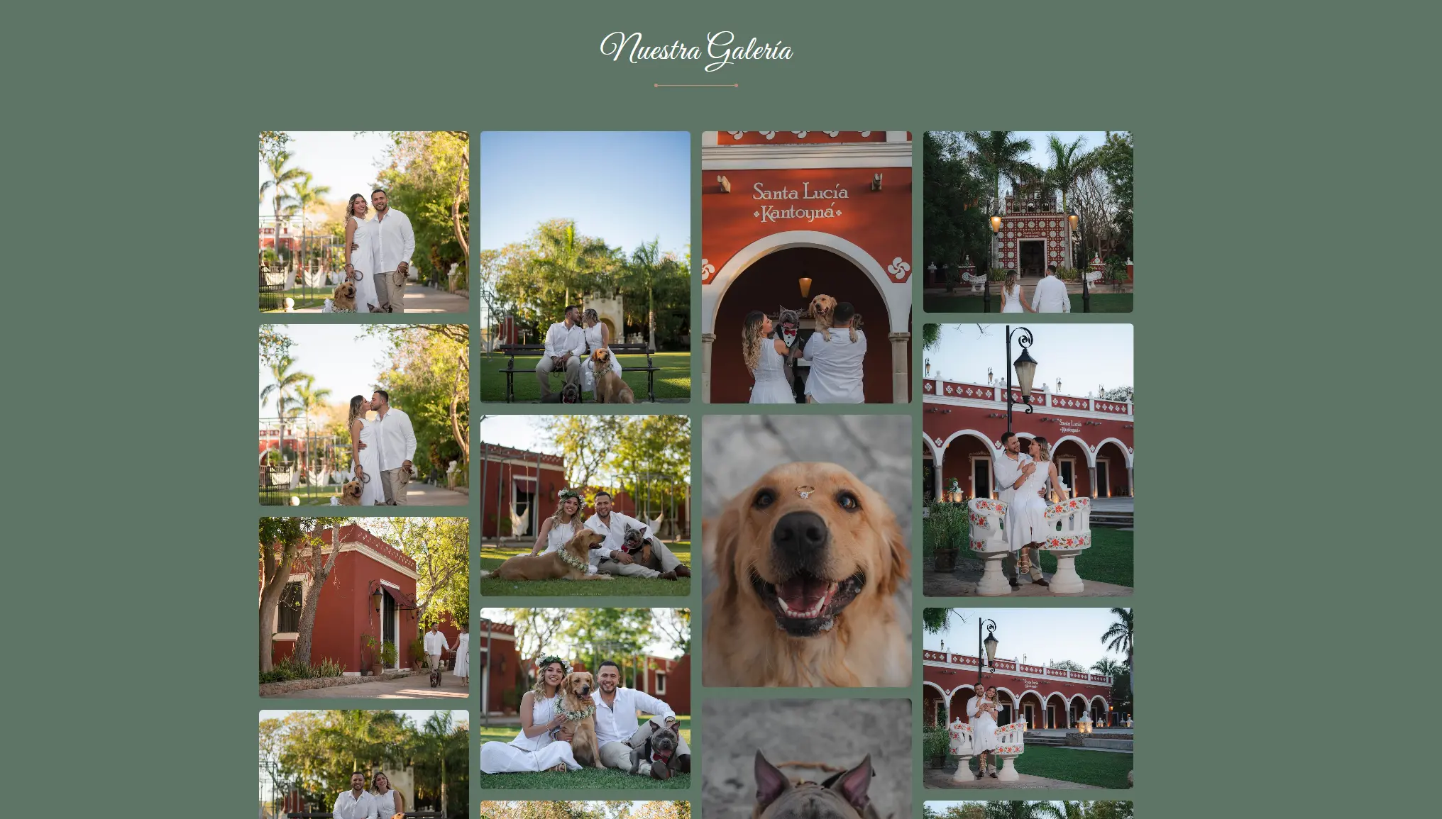 Invitación digital para boda - Imagen 5